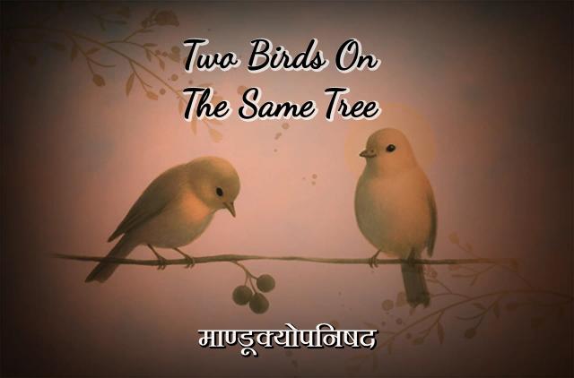 Overcome all problems and anxiety