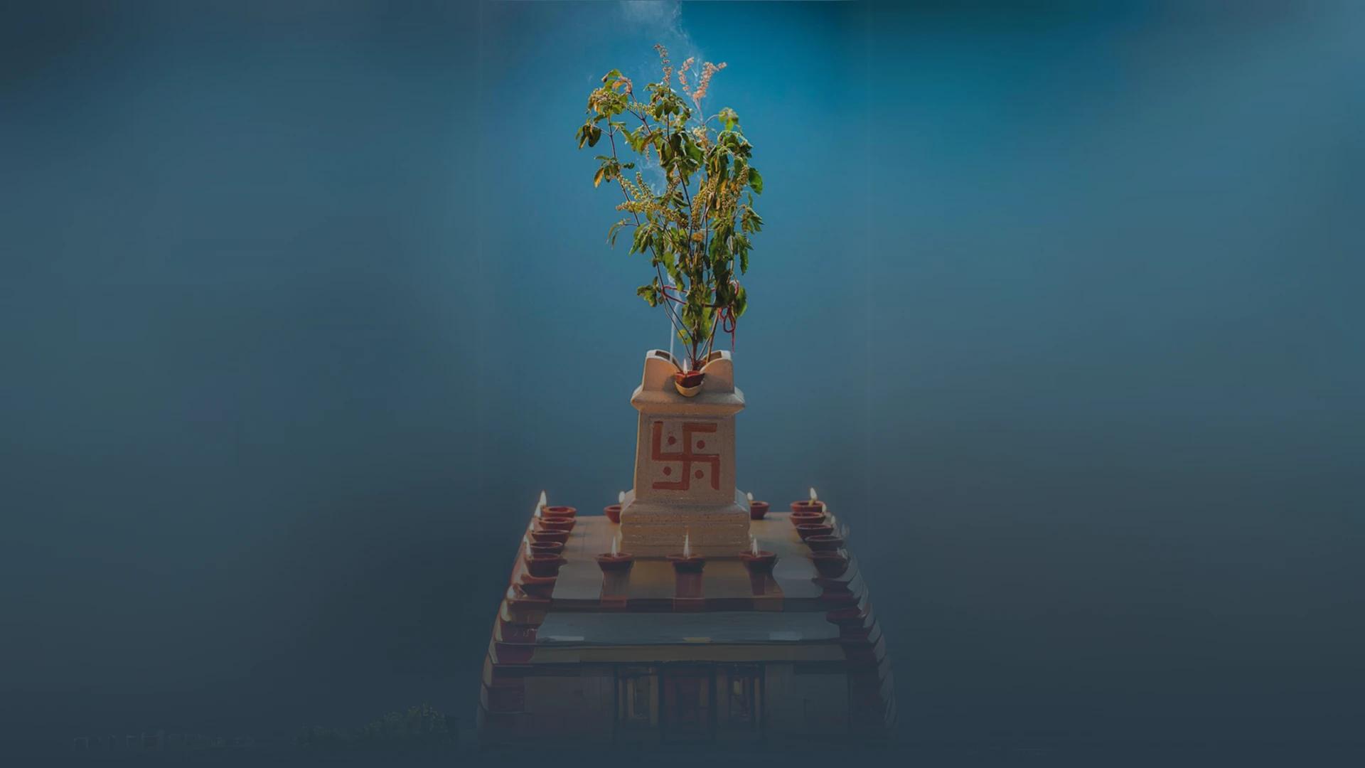 Tulsi Shaligram Vivah