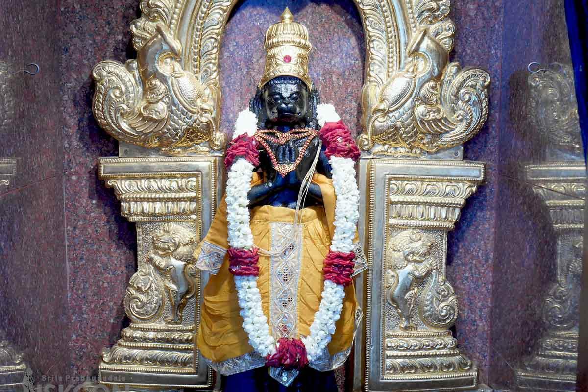 Sri Hanuman