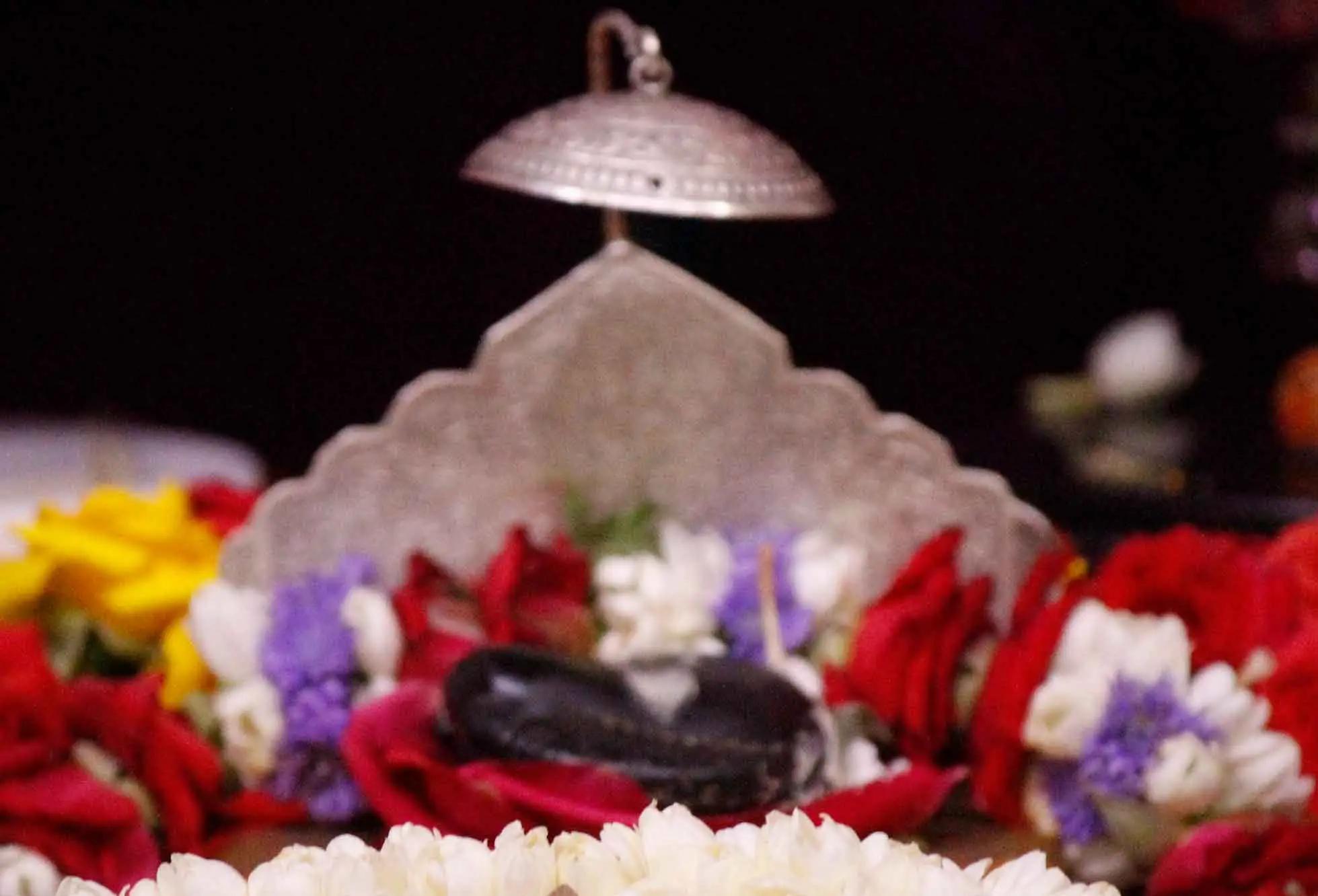 Vasudeva Shaligram