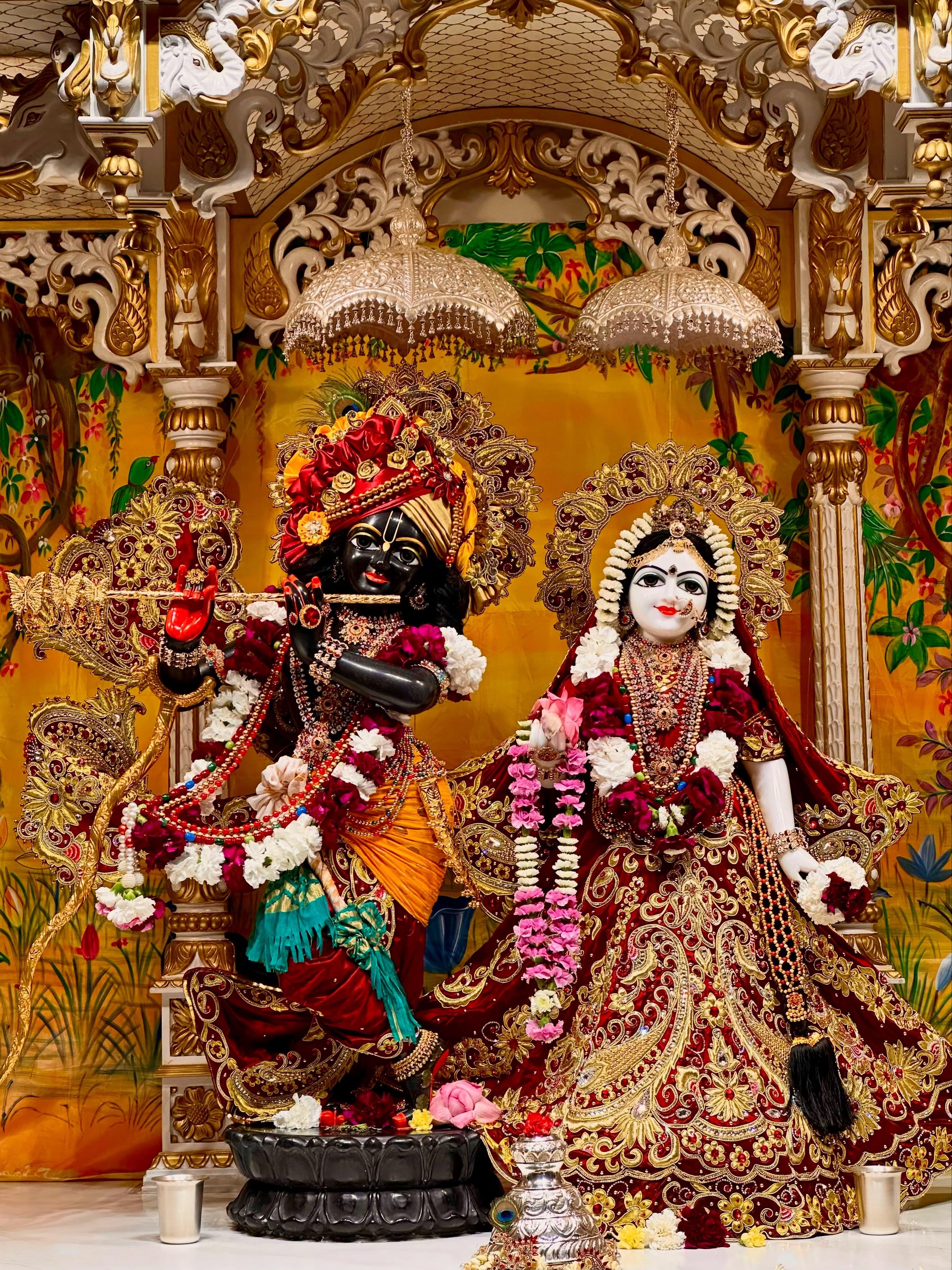 Sri Sri Radha Damodar