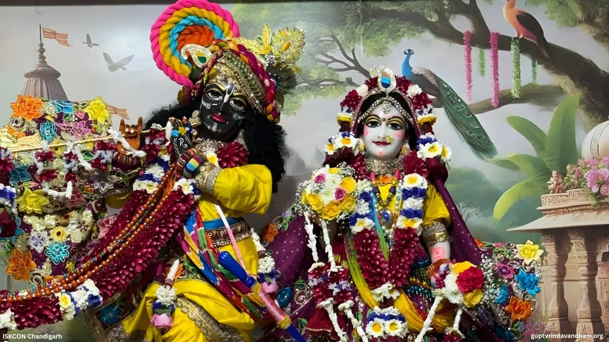 Radha Madhav Multicolor Dress Deity Wallpaper