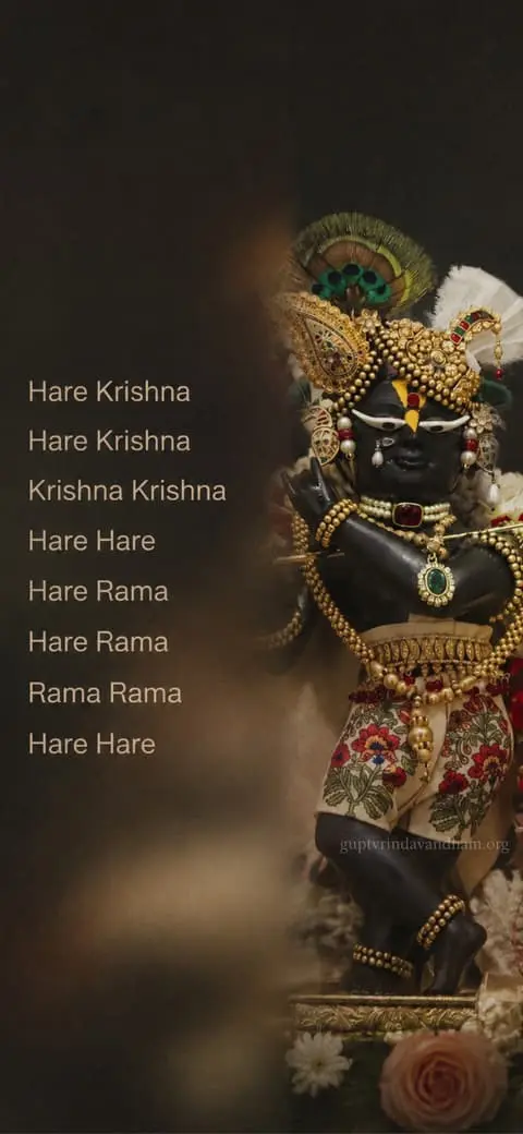 Radha Raman Ji Mahamantra HD