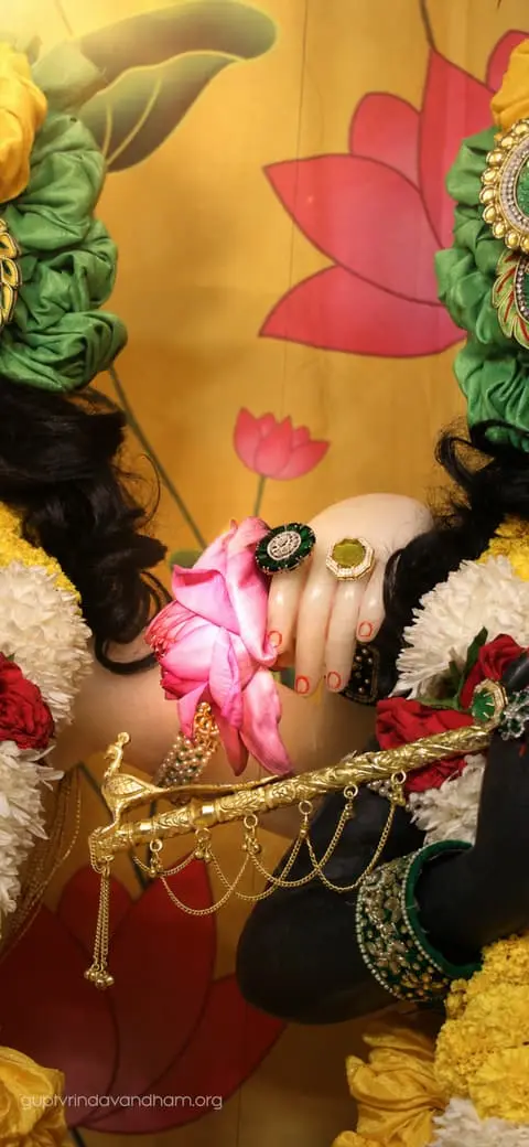 Krishna Balaram Sacred Lotus Hands