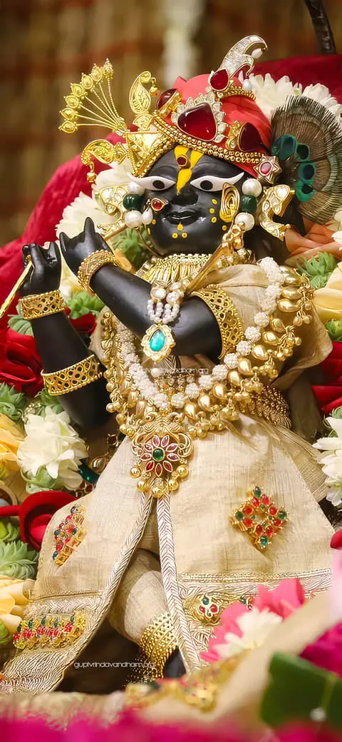 Radharaman Ji Golden Shringar