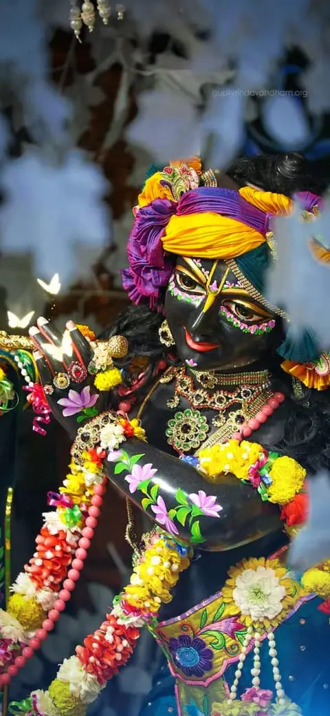 Krishna Ji Colorful Poshak Close Darshan