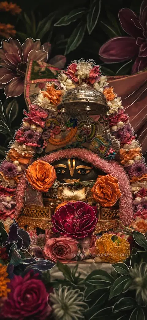Giri Govardhan Shila Floral Shringar Darshan