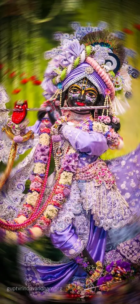 Krishna Ji Purple Poshak Bansuri Darshan