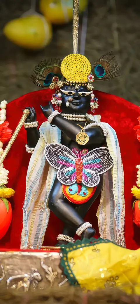 Radharaman Ji Butterfly Poshak Darshan