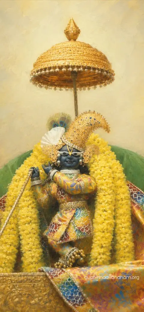 Govardhan Marigold Golden Umbrella Darshan