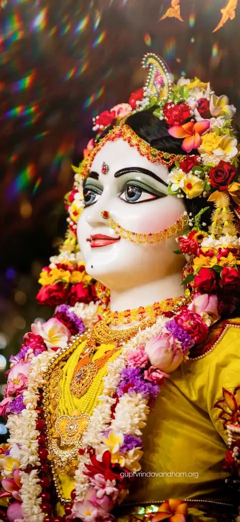 Radharani Vibrant Floral Shringar Darshan