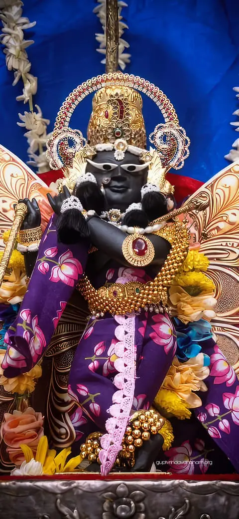 Radharaman Ji Purple Lotus Poshak