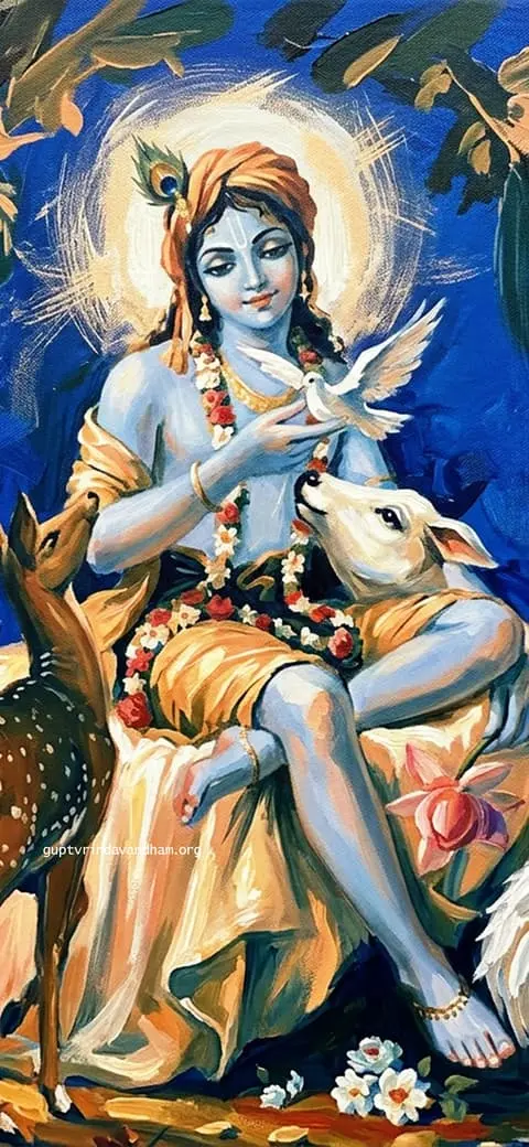 Lord Krishna Cow Dove Painting Wallpaper