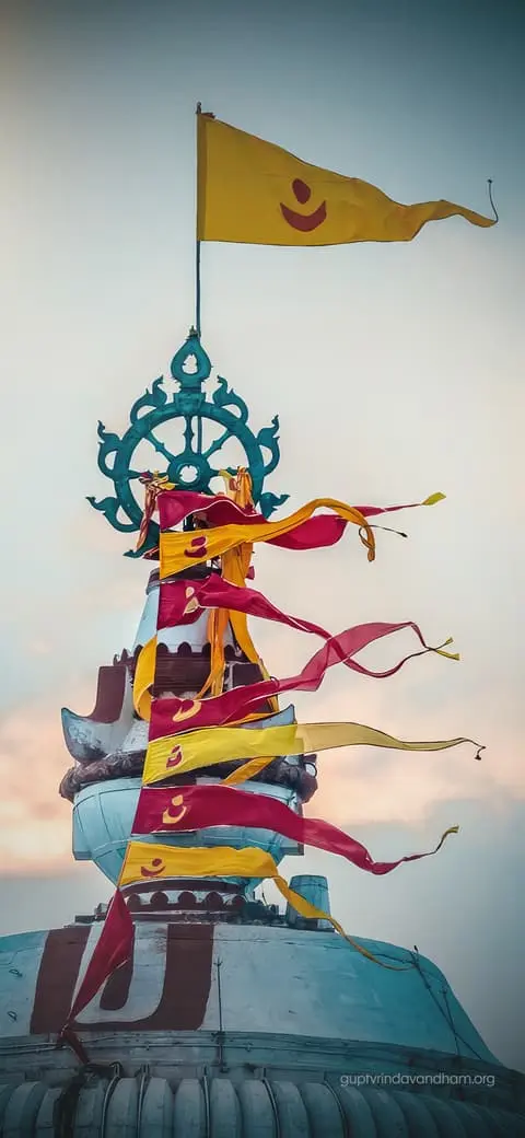 Jagannath Puri Sudarshana Chakra Flag Photo