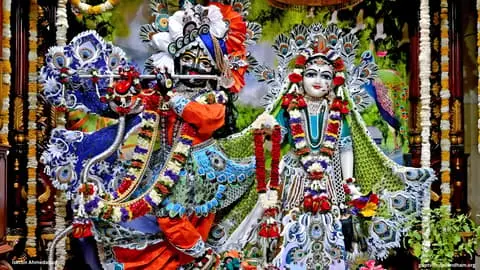 Radha Madhav Deity Wallpaper