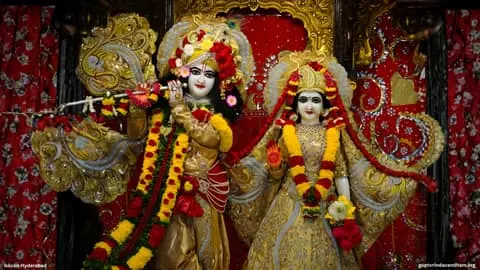Radha Madan Mohan Deity Wallpaper