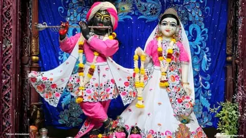 Radha Madhav deity with colorful flower decoration wallpaper