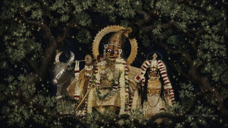 Govind Dev Ji Enchanted Forest Darshan