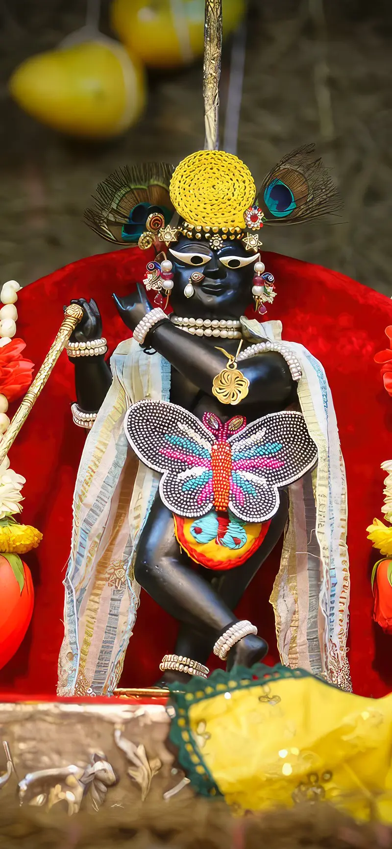 Radharaman Ji Butterfly Poshak Darshan