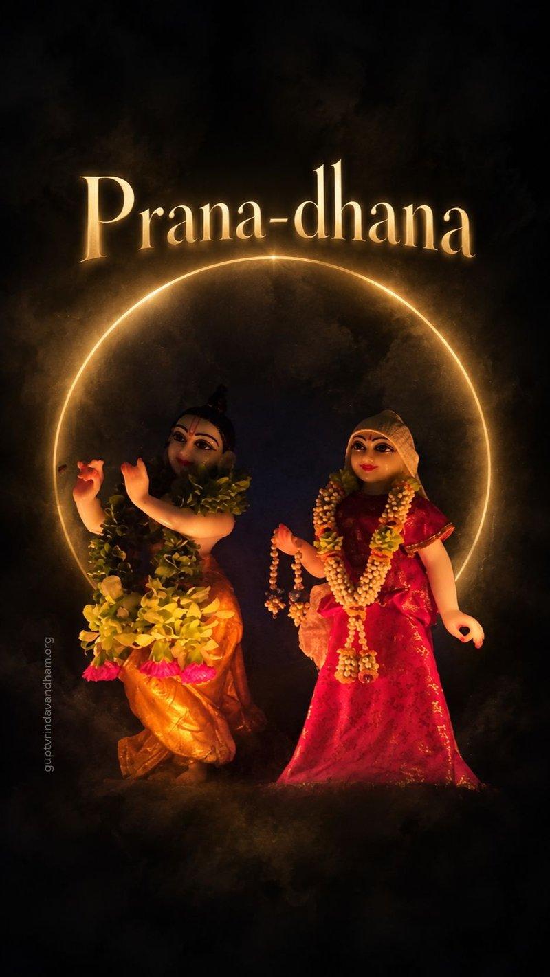 Radha Krishna Prana Dhana Wallpaper HD 4K