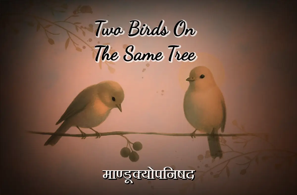 Main Visual