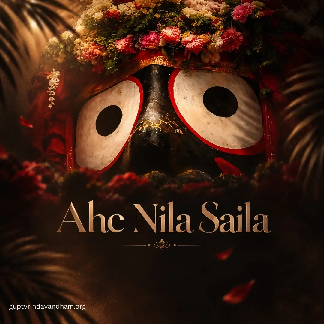 Ahe Nila Saila