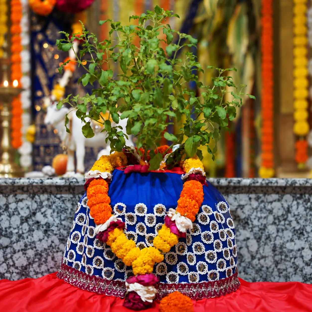 Namo Namah Tulasi Krsna Preyasi