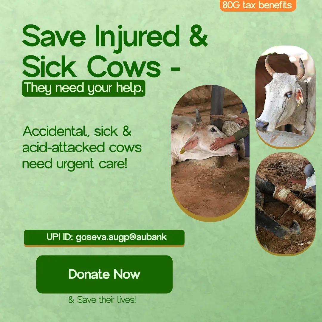 Kartika Deepotsava Kartika Month 7 Oct To 5 Nov 2025 Kartika Deepotsava Kartika Month 7 Oct To 5 Nov 2025