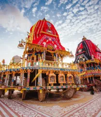 Jagannath Ratha Yatra Seva