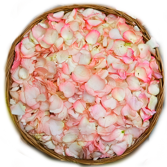 Flower Seva