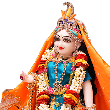 Vishesha Alankar Seva radhashtami seva